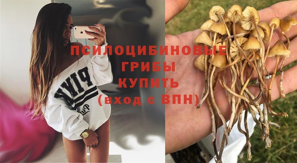 мяу мяу кристалл Кулебаки
