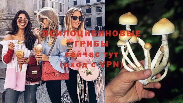 spice Кукмор